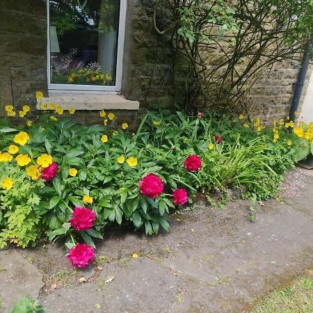 Burtree Ford Mayfield Cottage מראה חיצוני תמונה