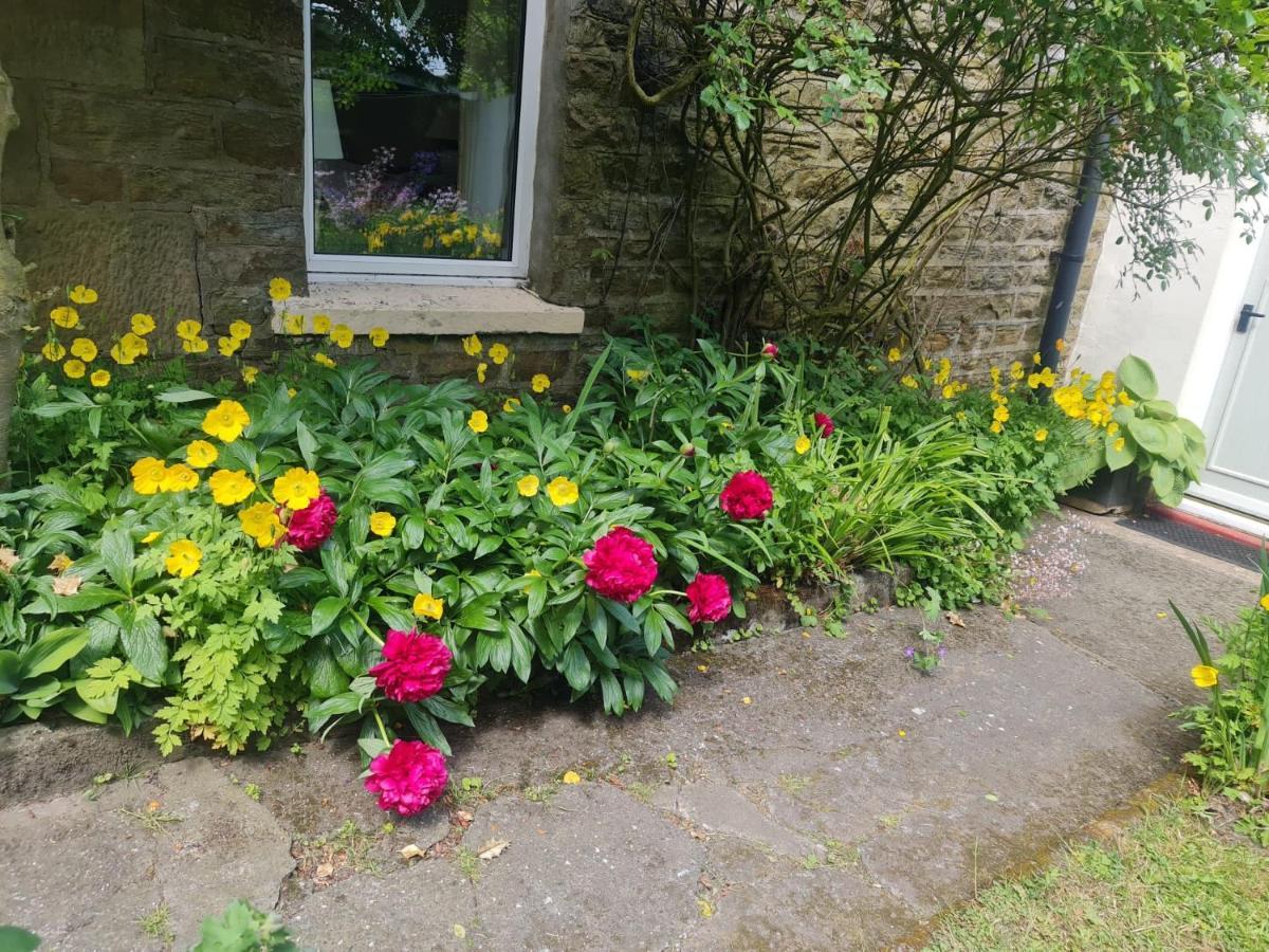 Burtree Ford Mayfield Cottage מראה חיצוני תמונה