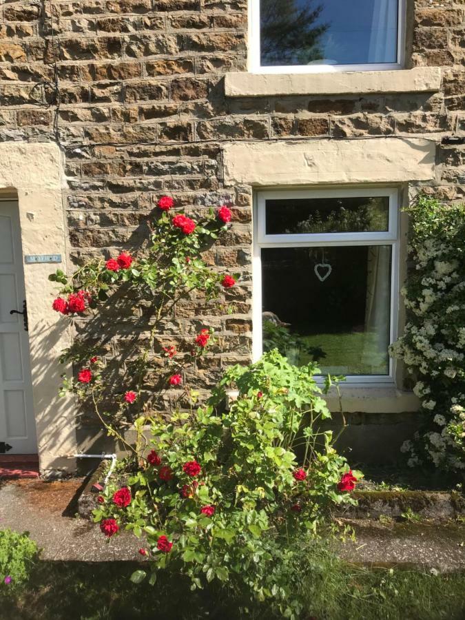 Burtree Ford Mayfield Cottage מראה חיצוני תמונה